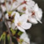 Dilofo Hotel - Dilofo K. Zagori Ioannina Greece